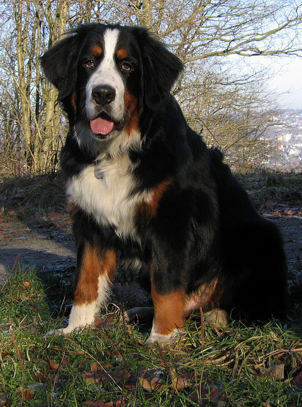 Anton   IMG 0220_BildgrÃ¶ÃŸe Ã¤ndern.jpg